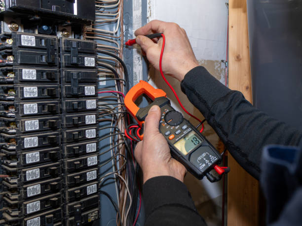 Best Electric Panel Repair  in Oracle, AZ